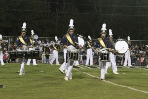 Snares During HT Show